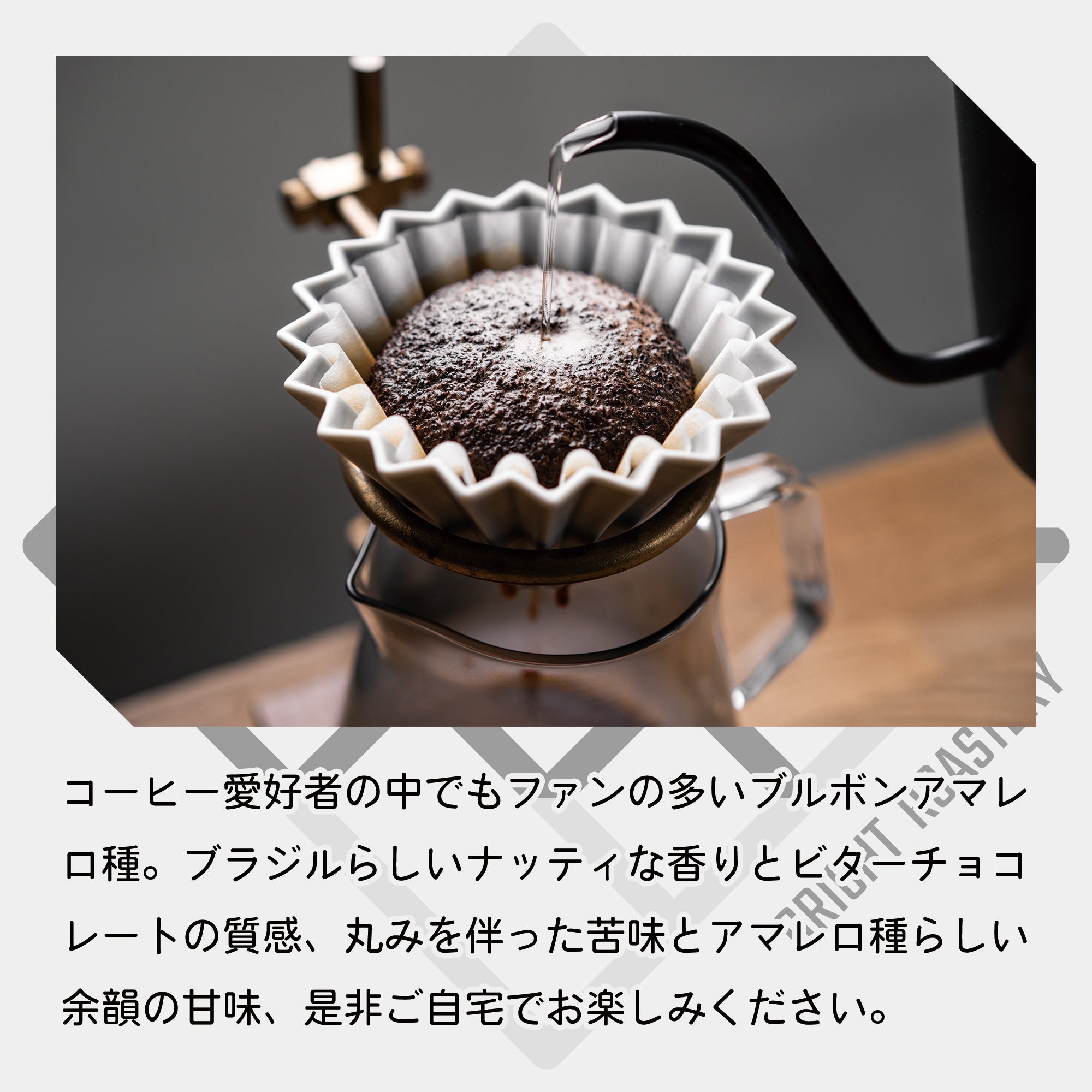 生豆 ブラジル ブルボンアマレロ ボンジャルディン農園 ナチュラル