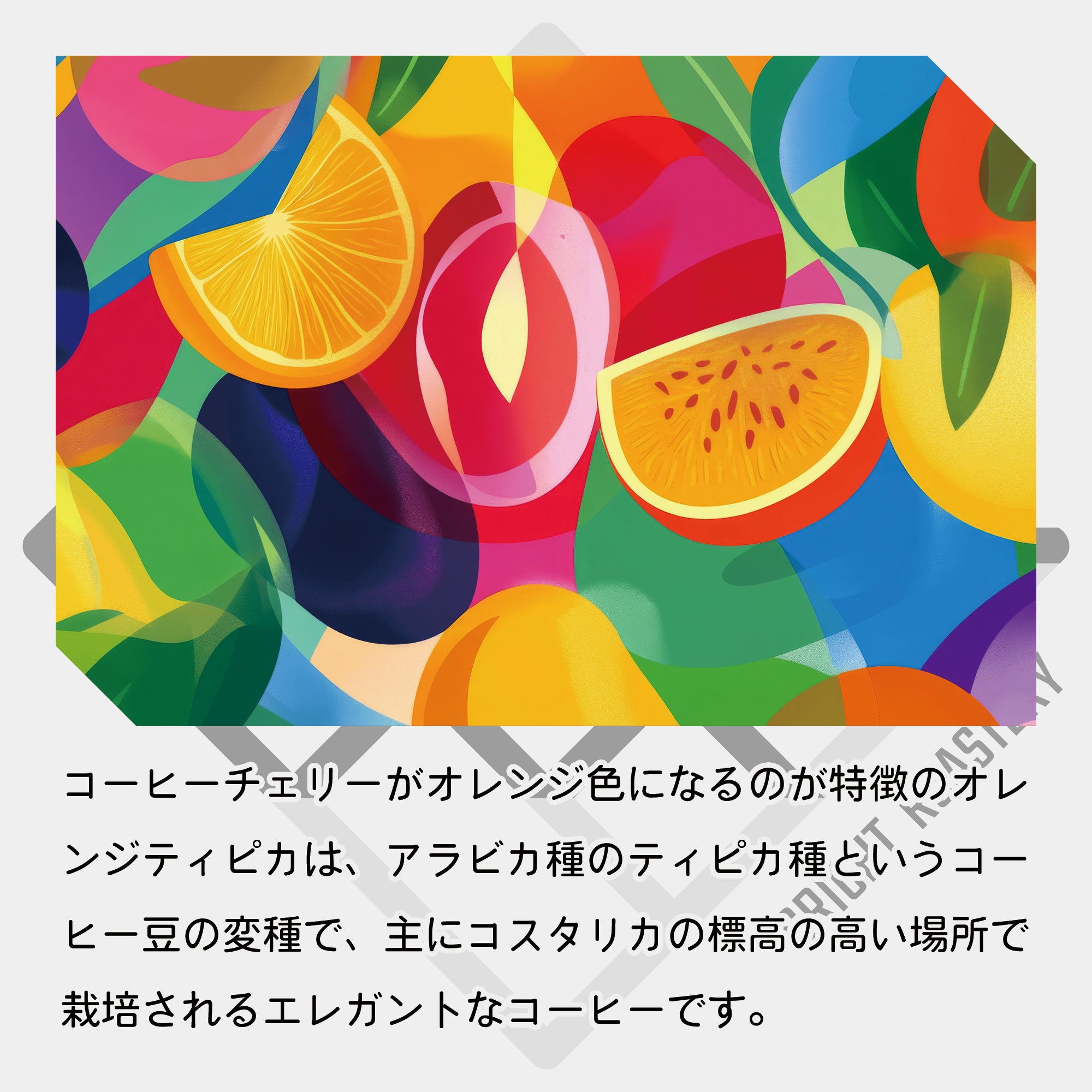 生豆 コスタリカ アグリビッド オレンジティピカ ハニー