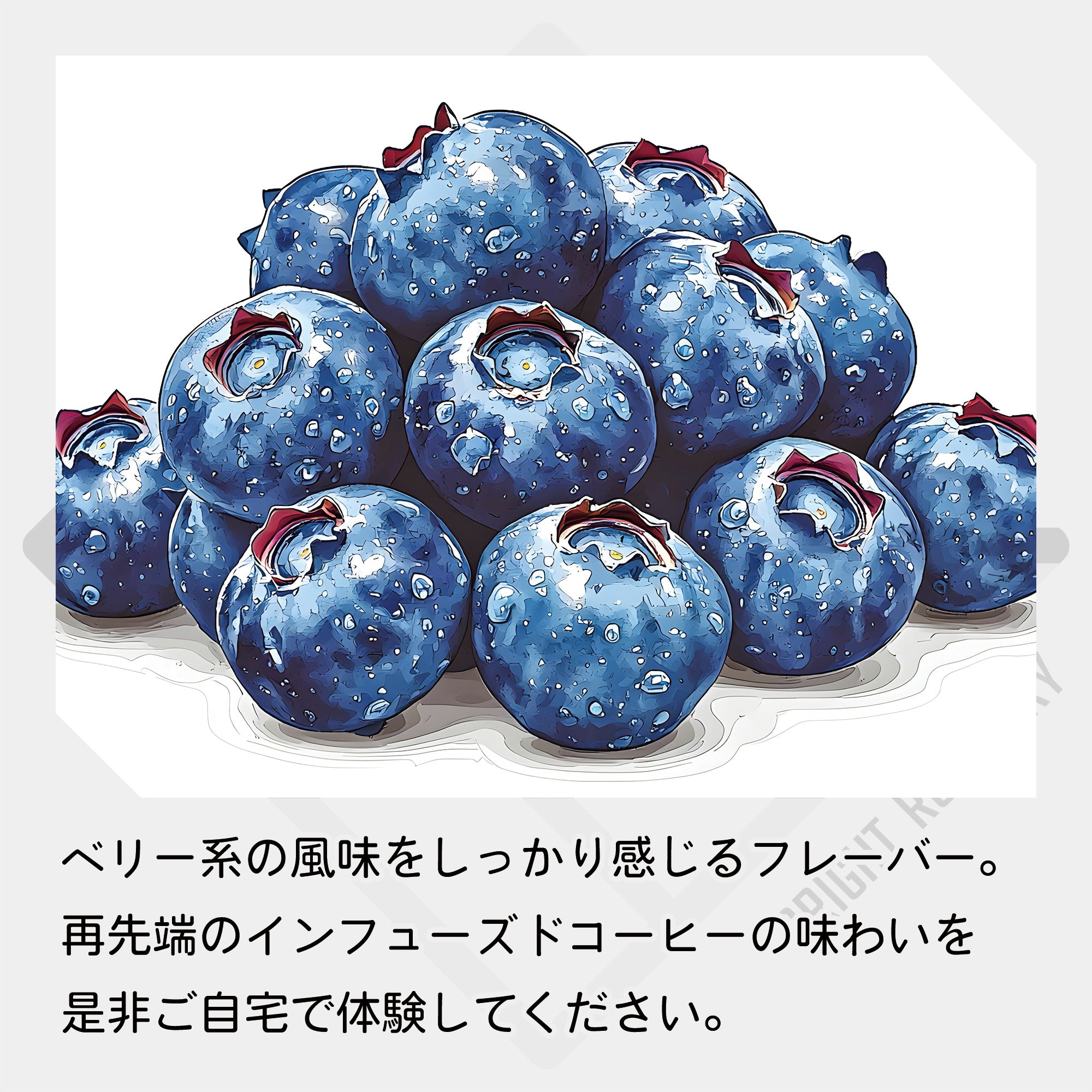 中国 雲南省 No-stone Coffee Co - Anaerobic Honey Process & Infused Blue berry and Cranberry コーヒー豆