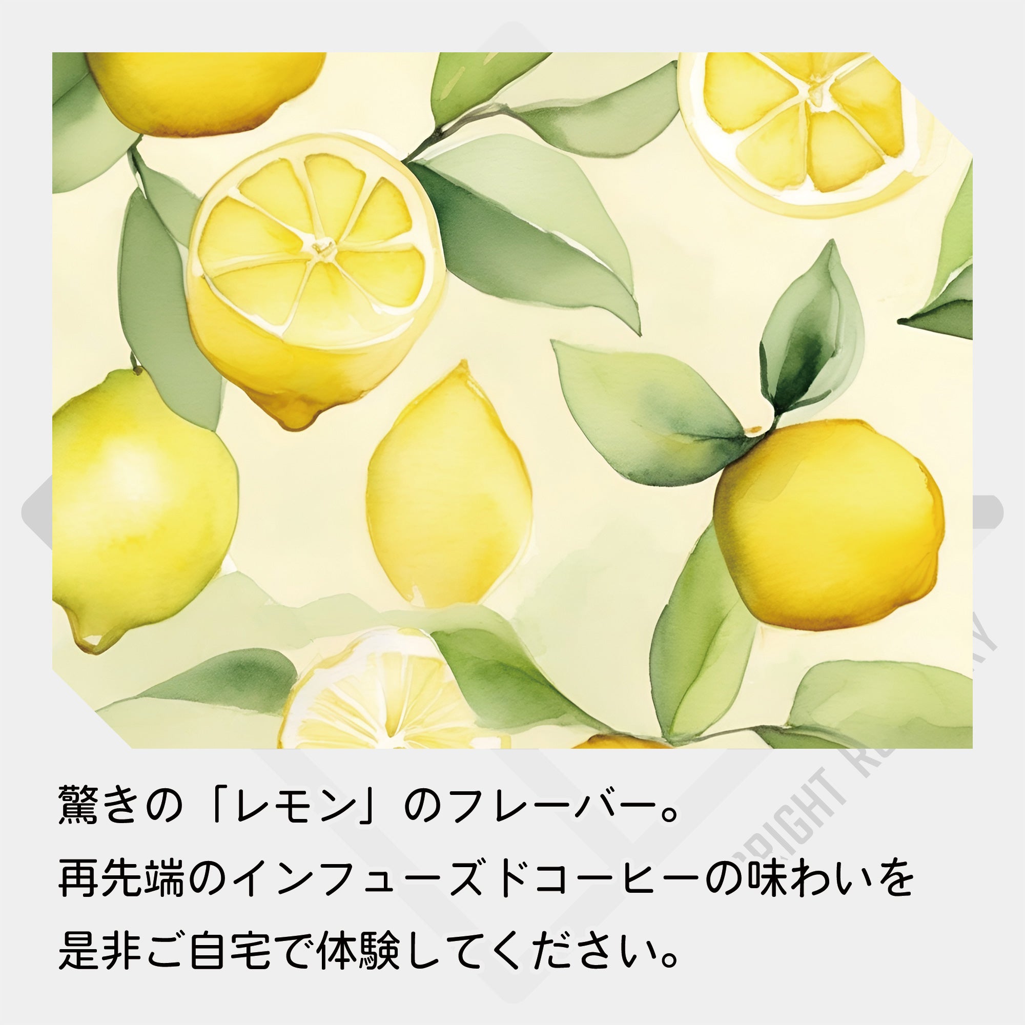 生豆 中国 雲南省 No-stone Coffee Co - Anaerobic Honey Process & Infused Lemon & Bergamot