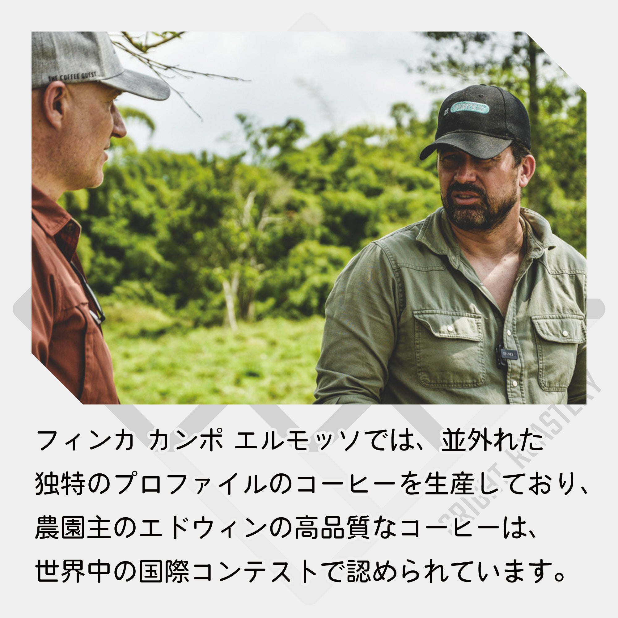 生豆 コロンビア カンポ・エルモッソ “パッション” カーボニックマセレーション マルチフルファーメーテーション イエローフルーツ インフューズド