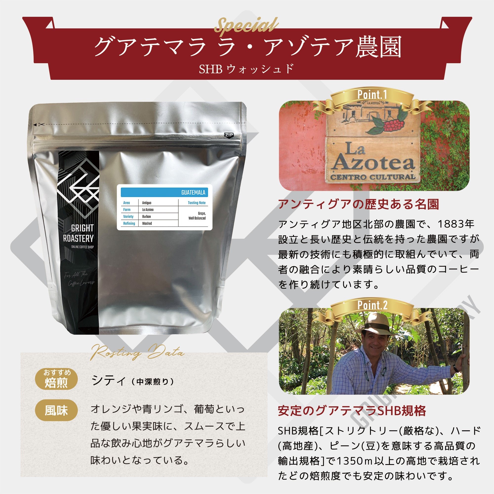 グァテマラ アンティグア アゾテア農園 ブルボンSHB コーヒー豆