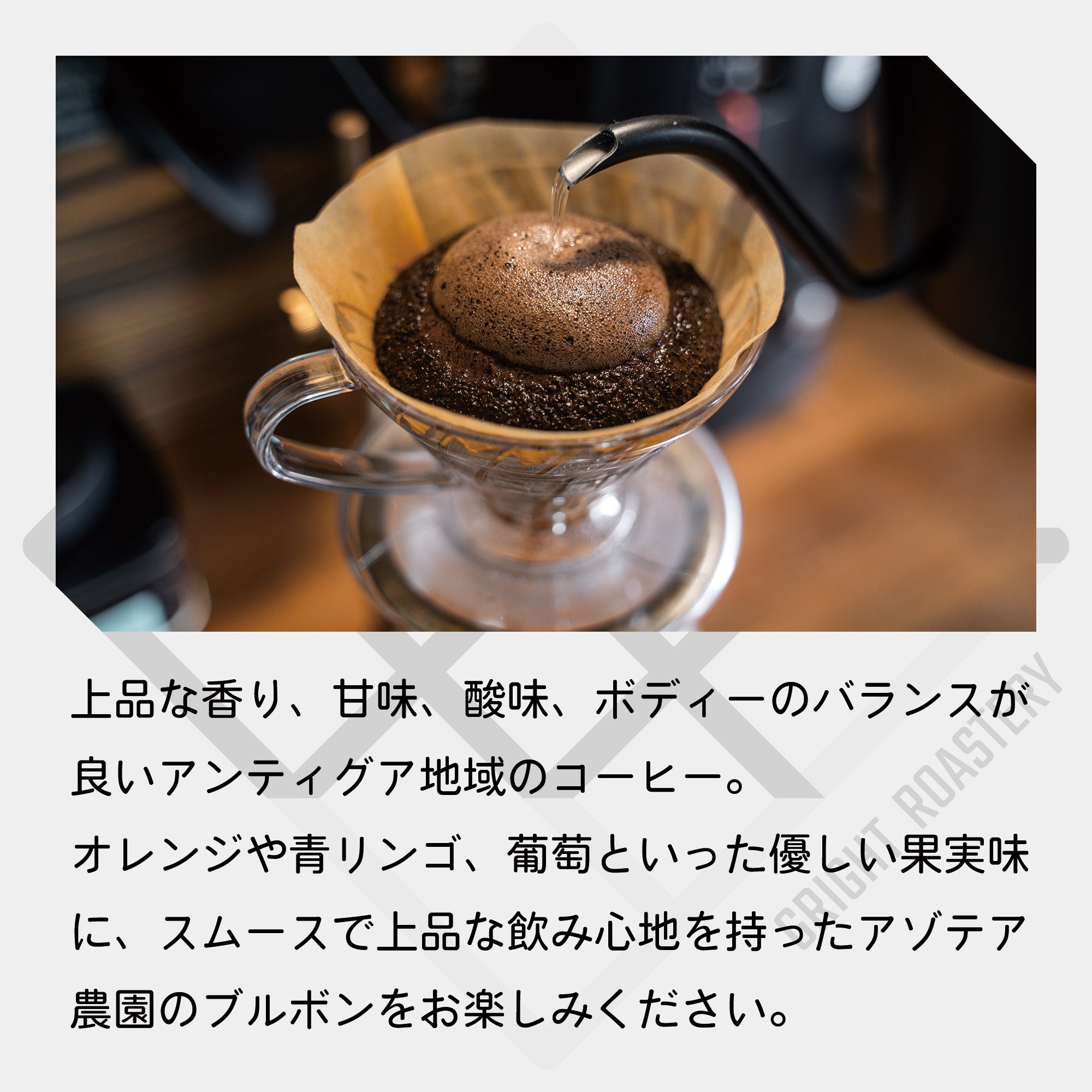 グァテマラ アンティグア アゾテア農園 ブルボンSHB コーヒー豆