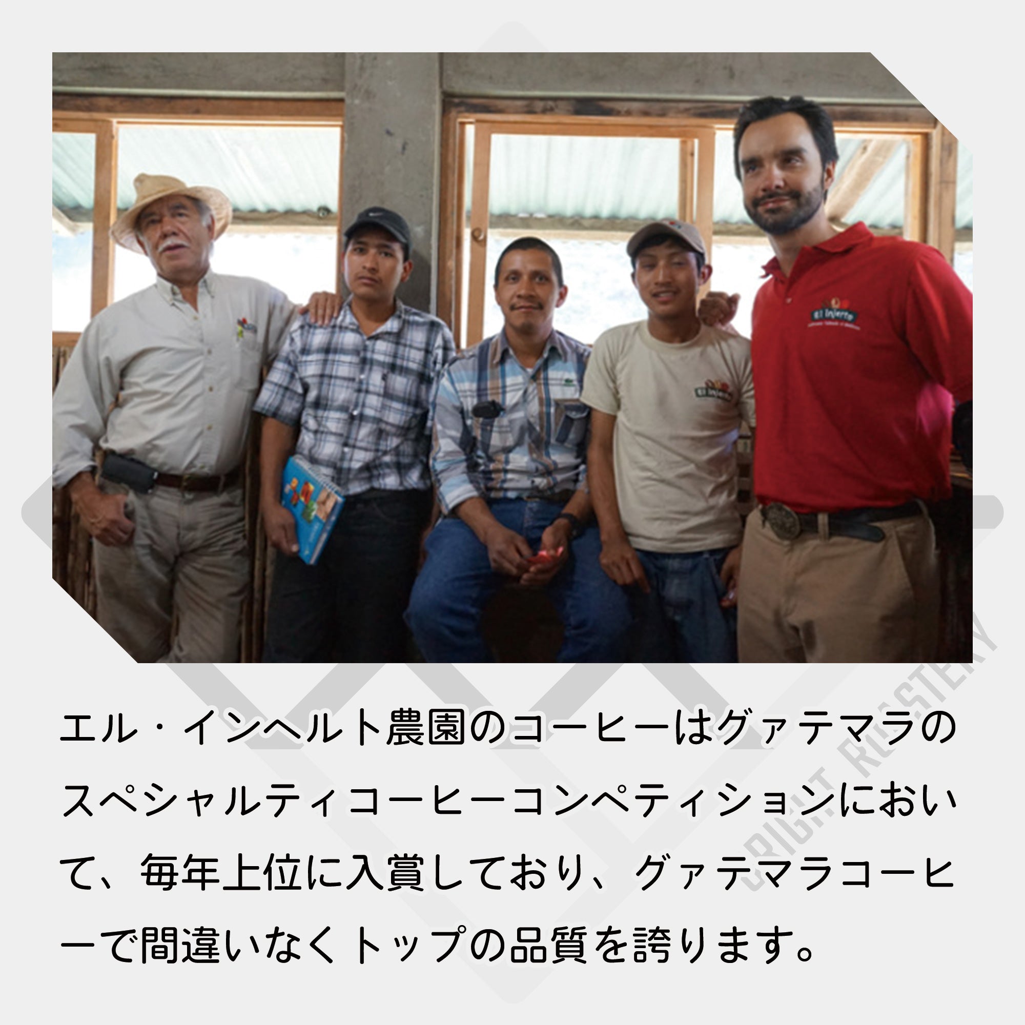 グァテマラ エルインヘルト農園 エチオピア ナチュラル コーヒー豆