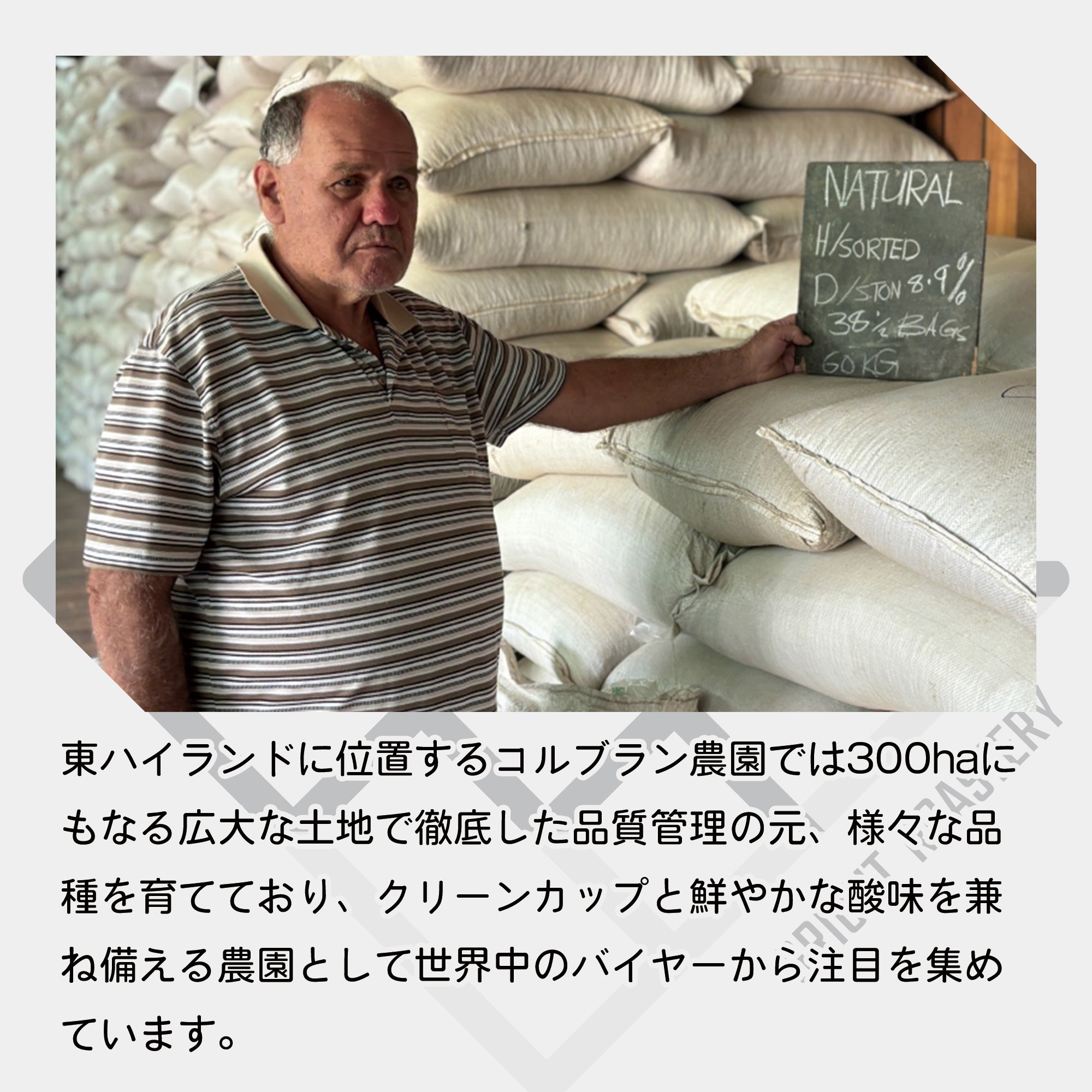 パプアニューギニア コルブラン農園 A ウォッシュド コーヒー豆