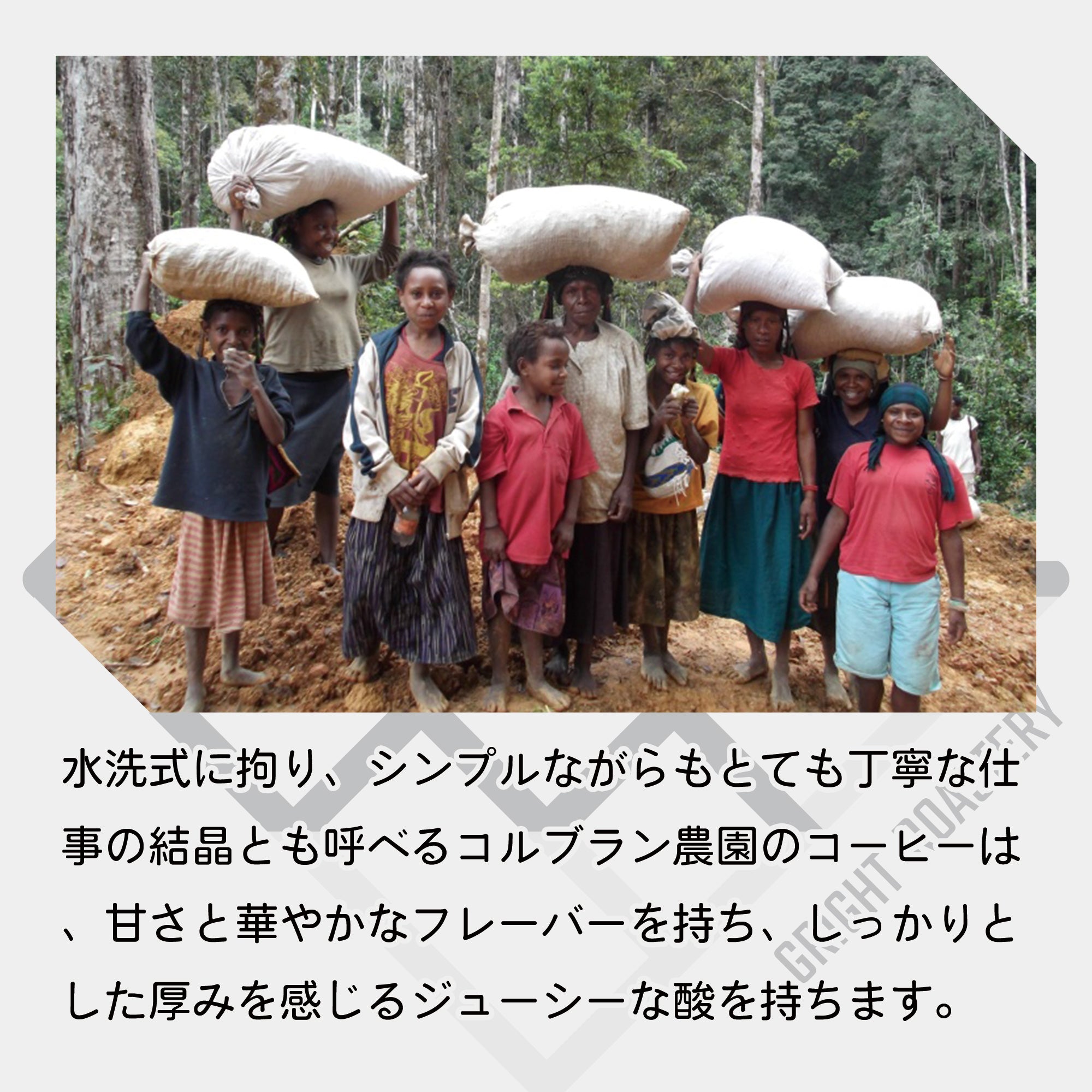 パプアニューギニア コルブラン農園 A ウォッシュド コーヒー豆