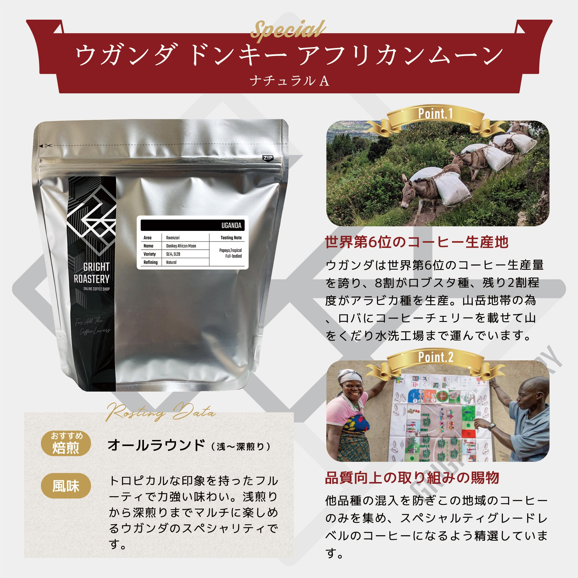 ウガンダ ルウェンゾリ ドンキー アフリカンムーン ナチュラル A コーヒー豆