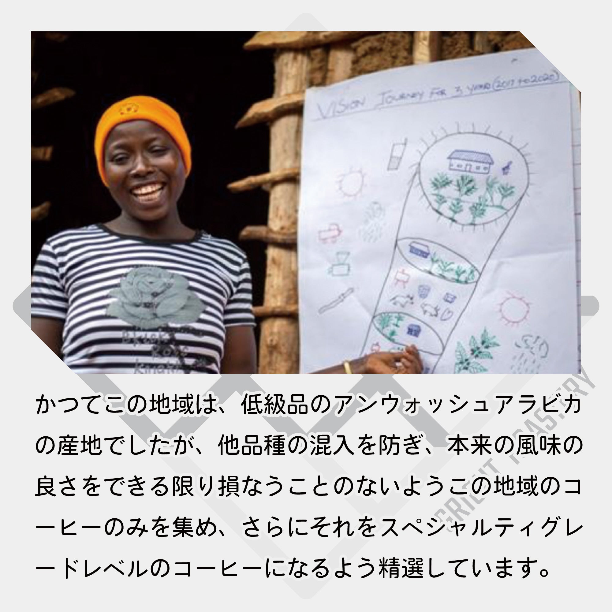 ウガンダ ルウェンゾリ ドンキー アフリカンムーン ナチュラル A コーヒー豆