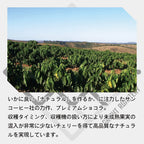 ブラジル サントアントニオ プレミアムショコラ ナチュラル コーヒー豆