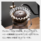 生豆 ブラジル サントアントニオ プレミアムショコラ ナチュラル