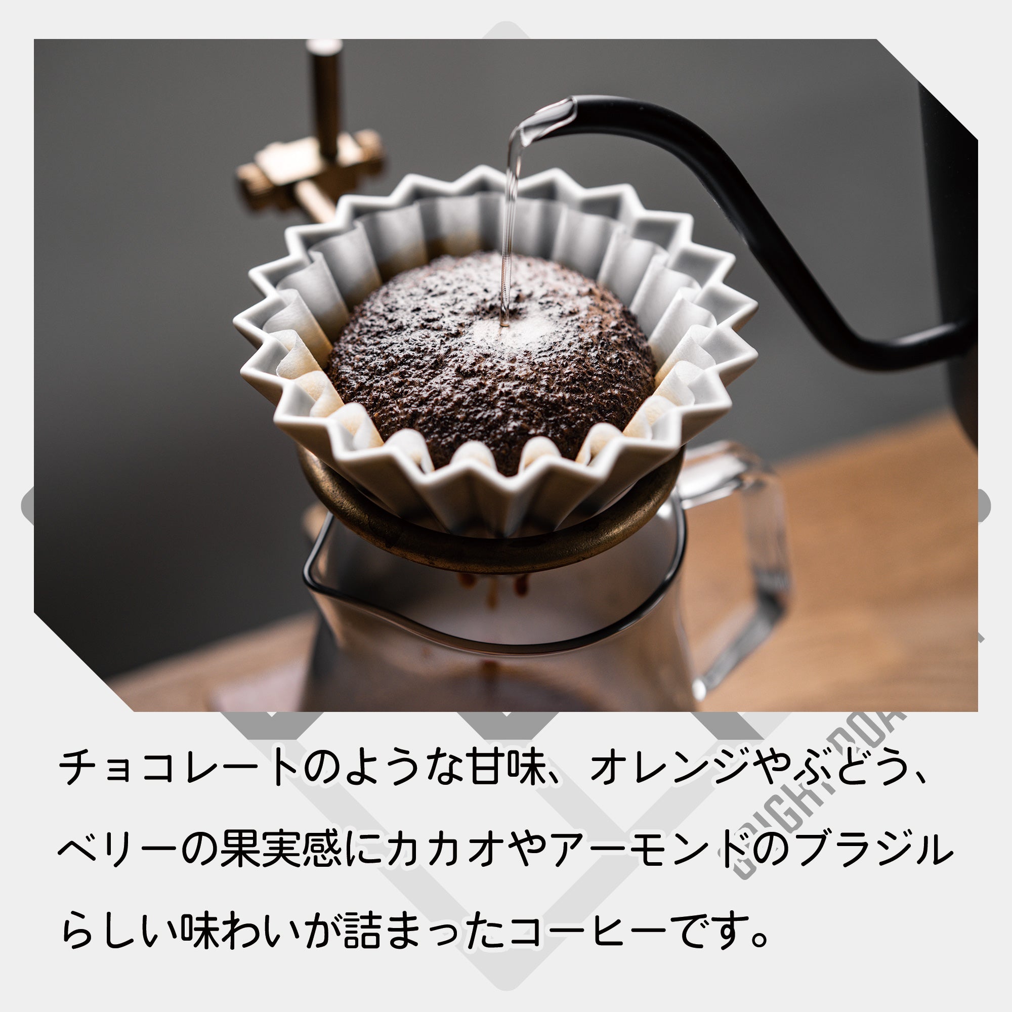 生豆 ブラジル サントアントニオ プレミアムショコラ ナチュラル