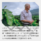 生豆 ブラジル セーハ・イ・レイチ農園 アララ パルプドナチュラル