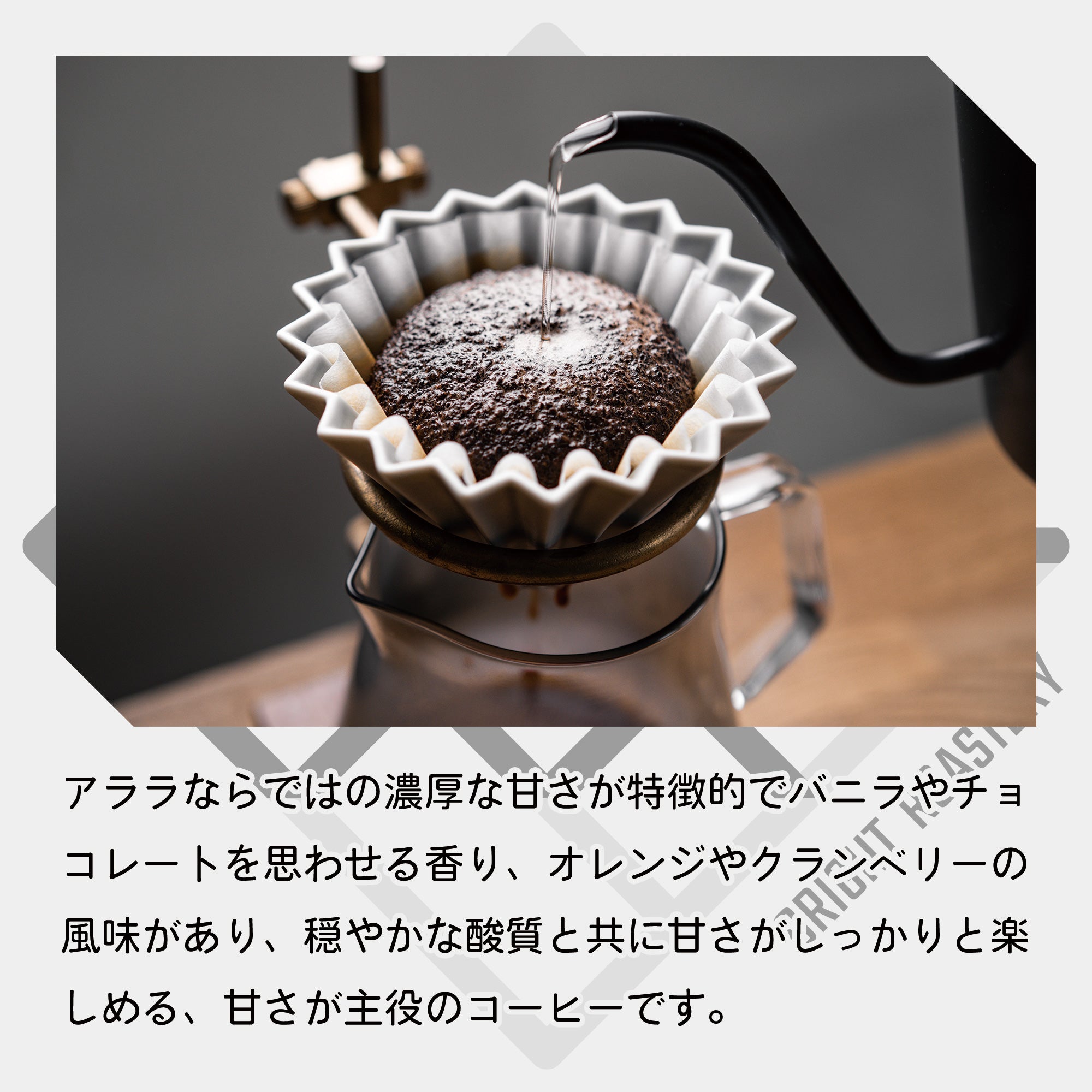 生豆 ブラジル セーハ・イ・レイチ農園 アララ パルプドナチュラル