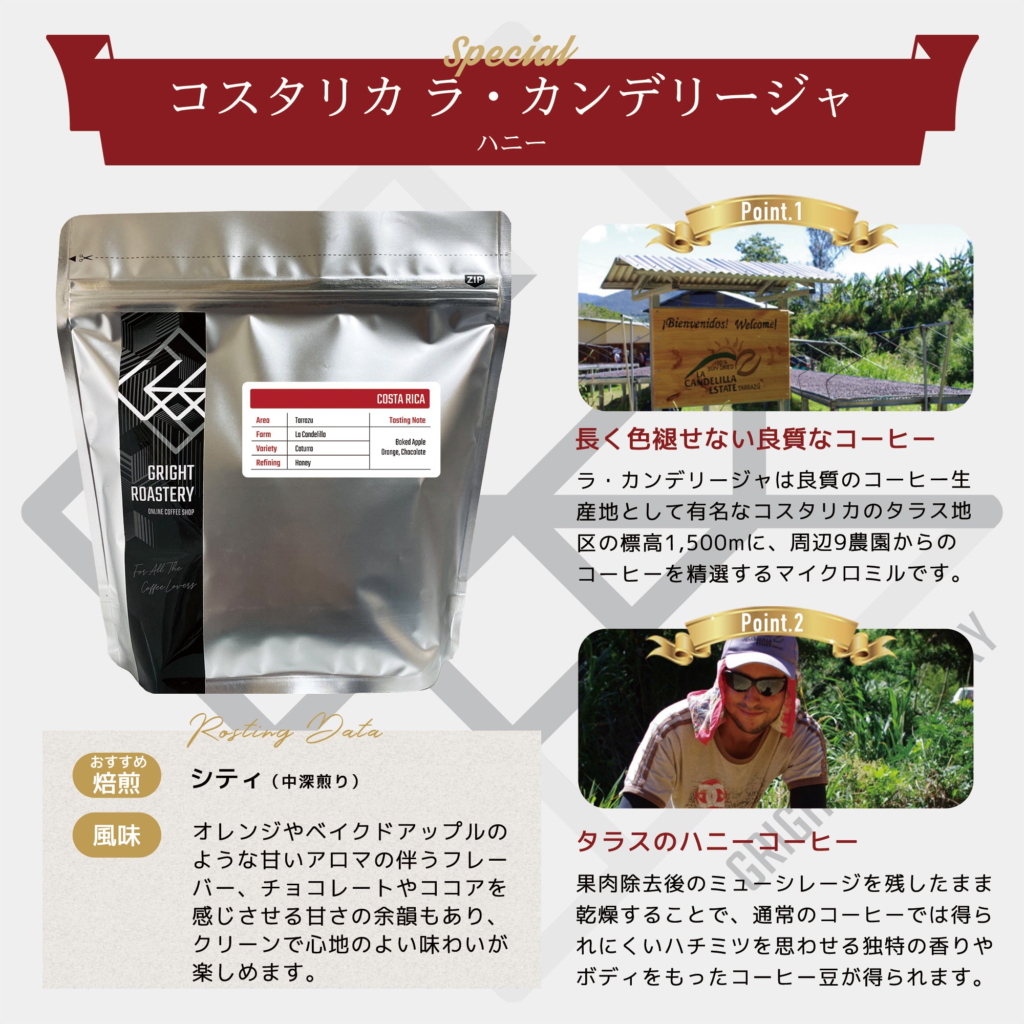 コスタリカ ラ・カンデリージャ ハニー コーヒー豆 – GRIGHT ROASTERY