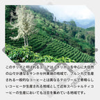 コスタリカ マレスピ ロス・モンヘ ナチュラル コーヒー豆