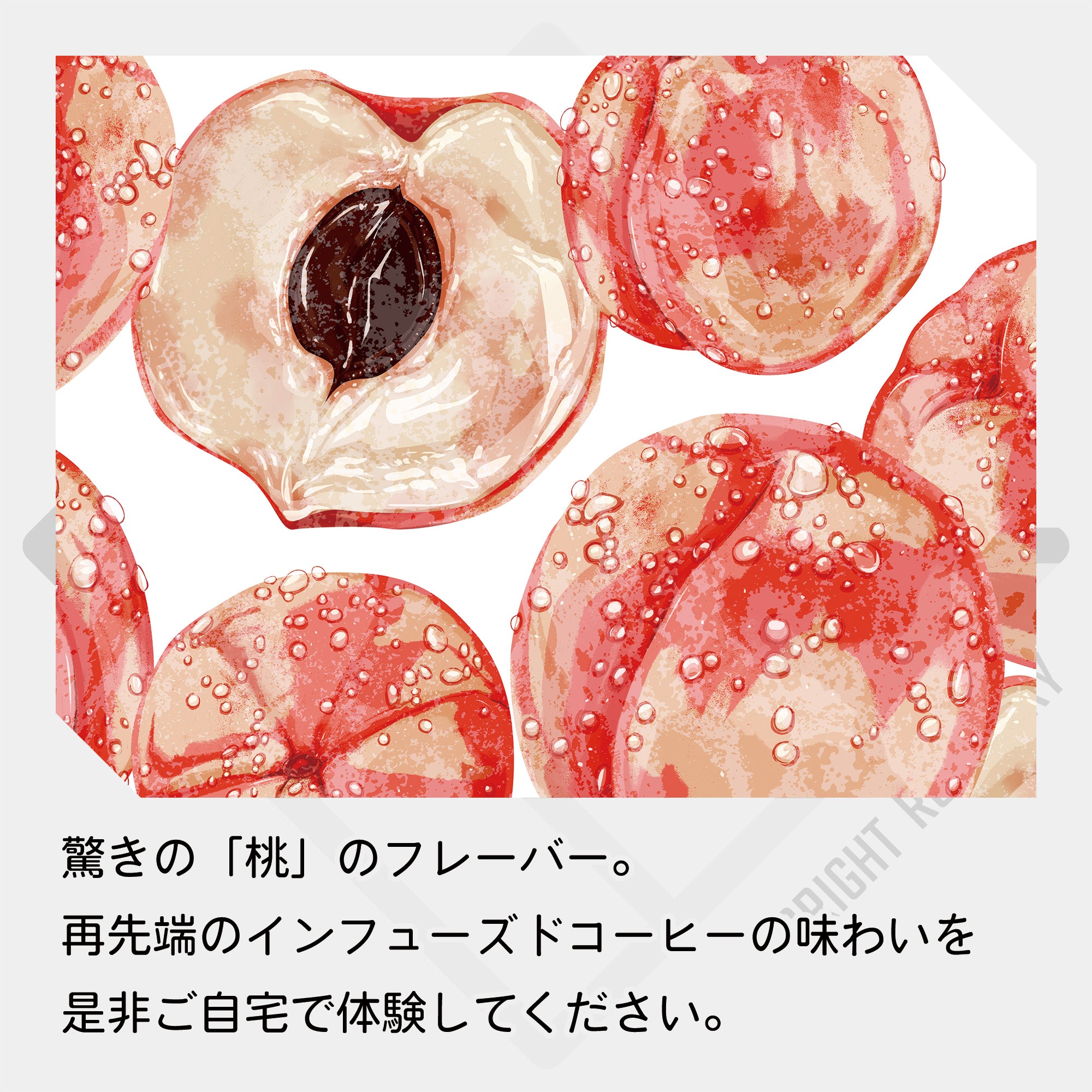 中国 雲南省 No-stone Coffee Co - Anaerobic Honey Process & Infused White Peach コーヒー豆
