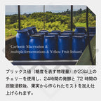 生豆 コロンビア カンポ・エルモッソ “パッション” カーボニックマセレーション マルチフルファーメーテーション イエローフルーツ インフューズド