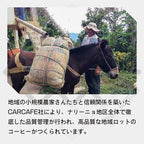 コロンビア ナリーニョ グランホヤ スプレモ コーヒー豆