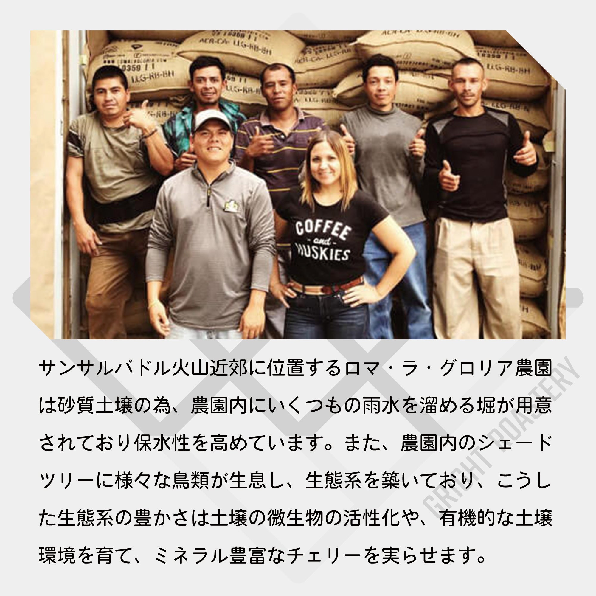生豆 エルサルバドル ロマ･ラ･グロリア パカマラ レッドハニー