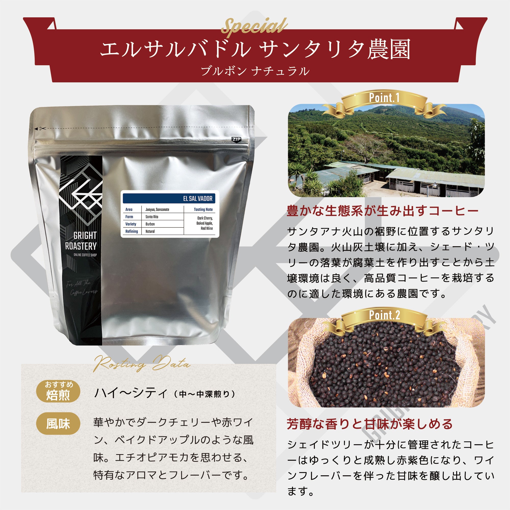 生豆 エルサルバドル サンタリタ農園 ブルボン ナチュラル