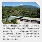 生豆 エルサルバドル サンタリタ農園 ブルボン ナチュラル