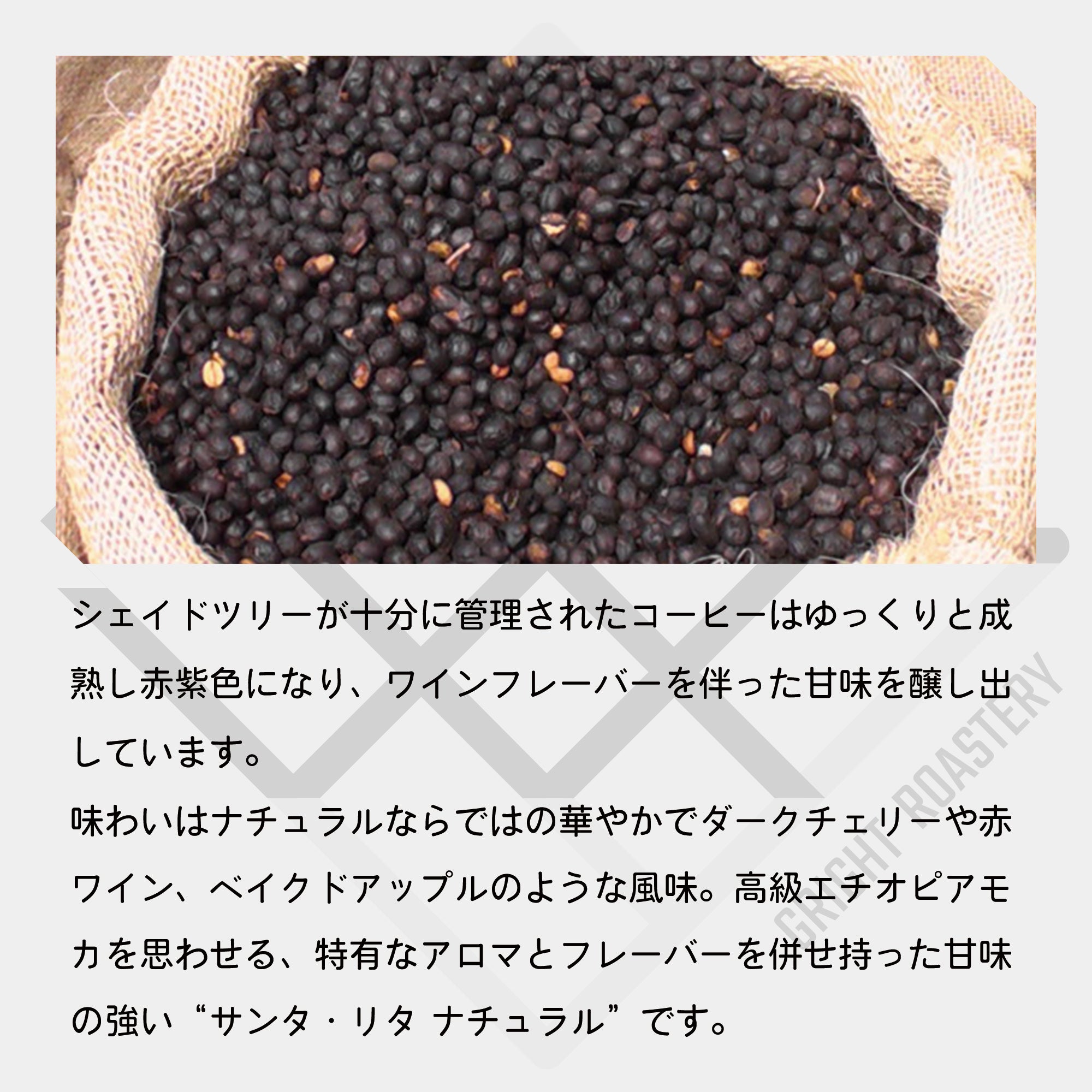 生豆 エルサルバドル サンタリタ農園 ブルボン ナチュラル