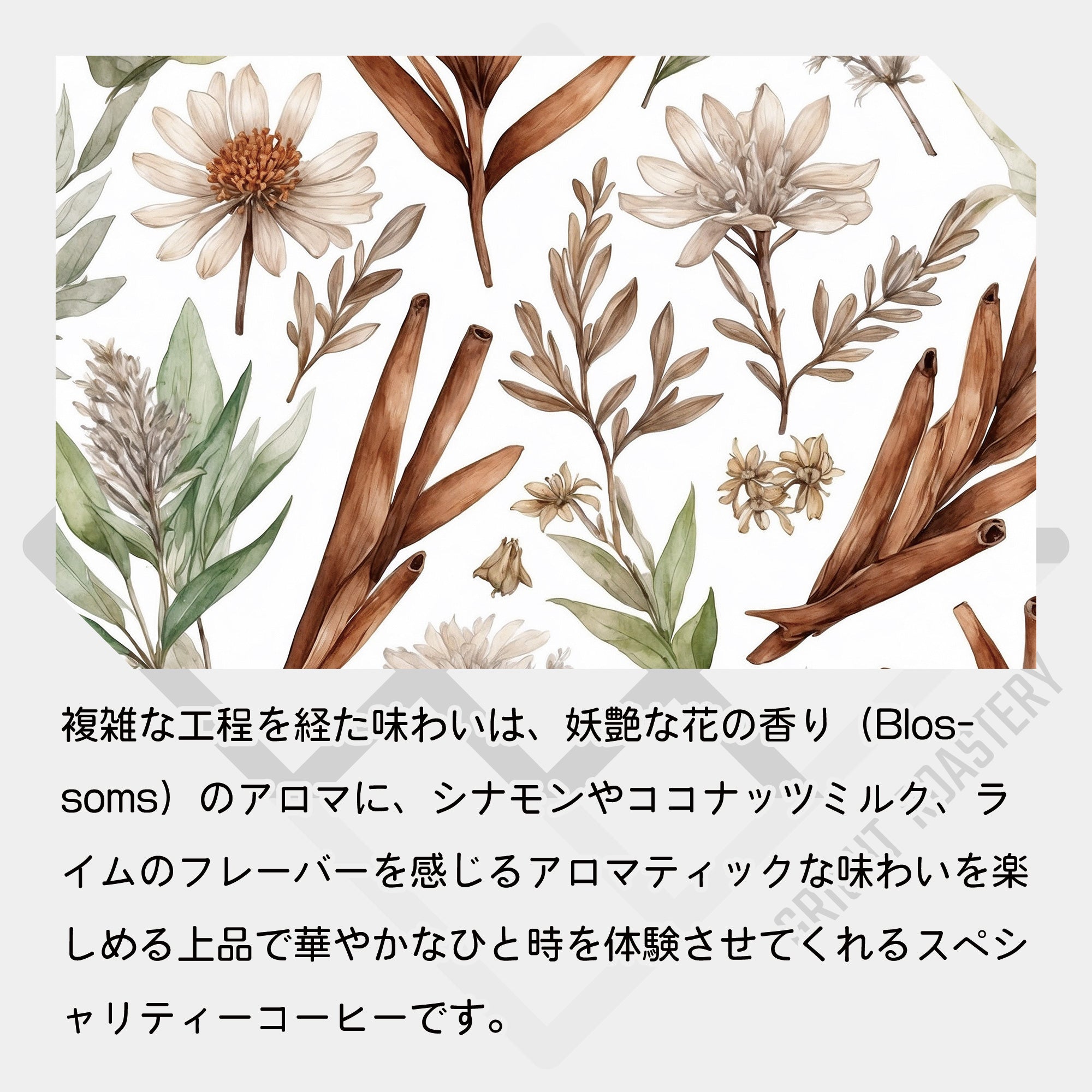 コロンビア エルパライソ農園 M03 ダブルアナエロビック ウォッシュド + サーマルショック &  ラクトバチルス イン ミルクカルチャー ミディアム コーヒー豆