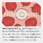 コロンビア エルパライソ農園 ライチピーチ（YN9） ダブルアナエロビック ウォッシュド +サーマルショック &  イーストパライソ イエローフルーツ コーヒー豆