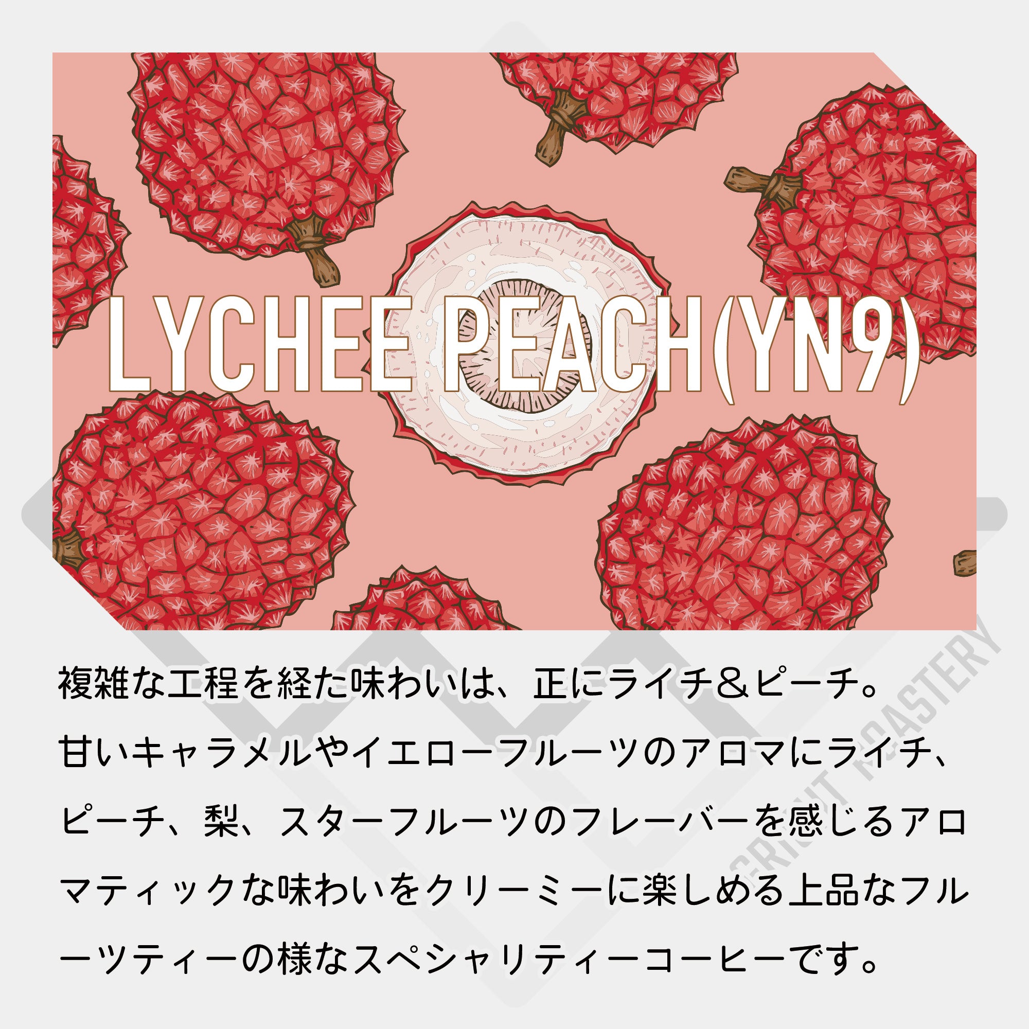 コロンビア エルパライソ農園 ライチピーチ（YN9） ダブルアナエロビック ウォッシュド +サーマルショック &  イーストパライソ イエローフルーツ コーヒー豆