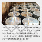 生豆 エチオピア ベンチ・マジ ゲシャ・カルマチ農園 G-1 カーボニックマセレーション ナチュラル