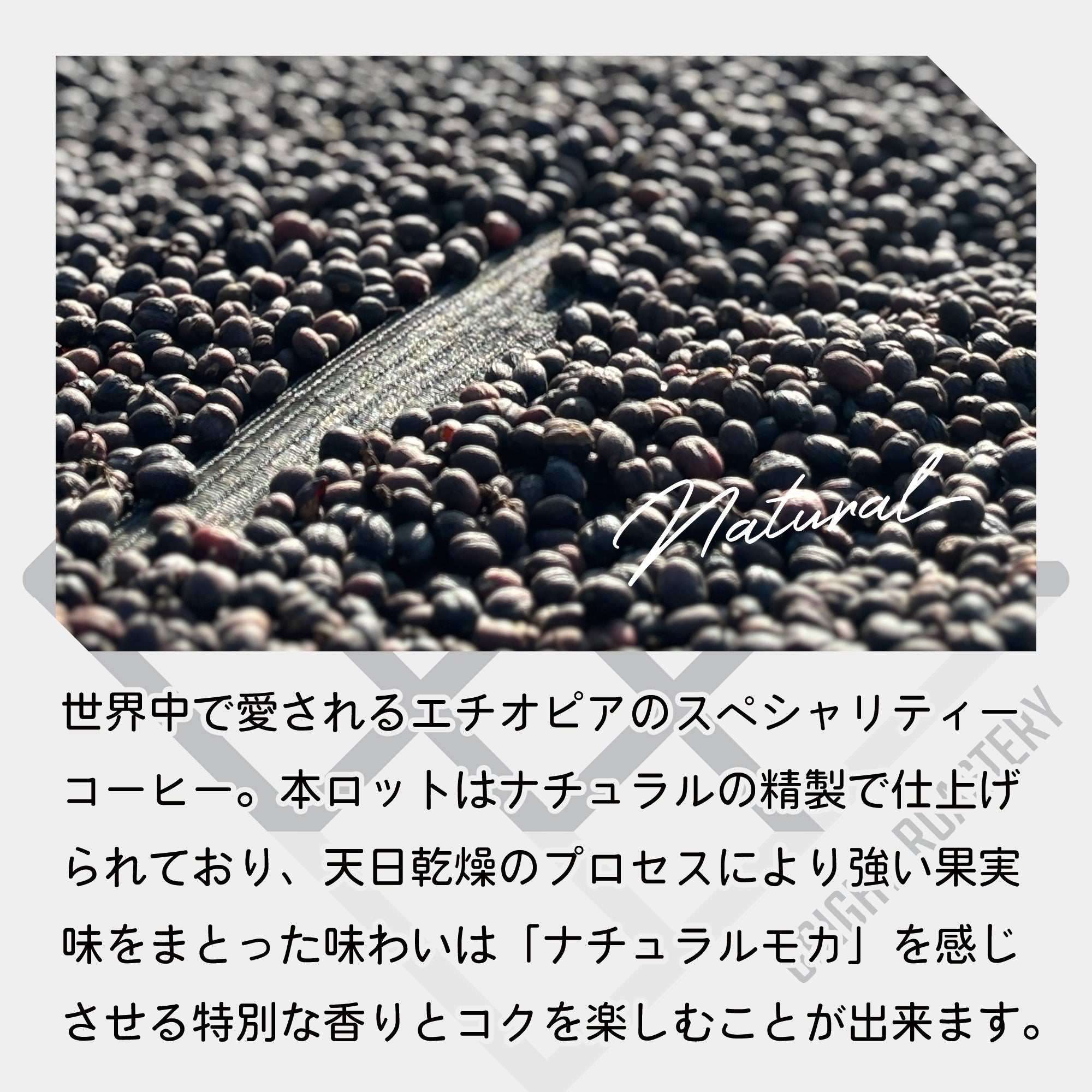 生豆 エチオピア ベンチ・マジ G-1 ゲシャ・カルマチ農園 ナチュラル