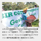 エチオピア ベンチマジ ホワイトリリー ゲイシャ G1 ウォッシュド コーヒー豆