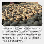 生豆 エチオピア ベンチマジ ホワイトリリー ゲイシャ G1 ウォッシュド