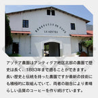 生豆 グアテマラ アンティグア アゾテア農園 ブルボンSHB