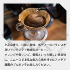 生豆 グアテマラ アンティグア アゾテア農園 ブルボンSHB