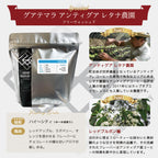 生豆 グアテマラ アンティグア レタナ農園 レッドブルボン フリーウォッシュド