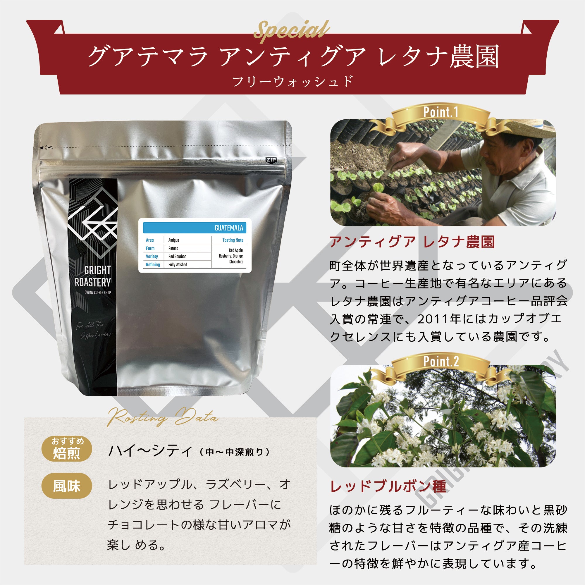 生豆 グアテマラ アンティグア レタナ農園 レッドブルボン フリーウォッシュド