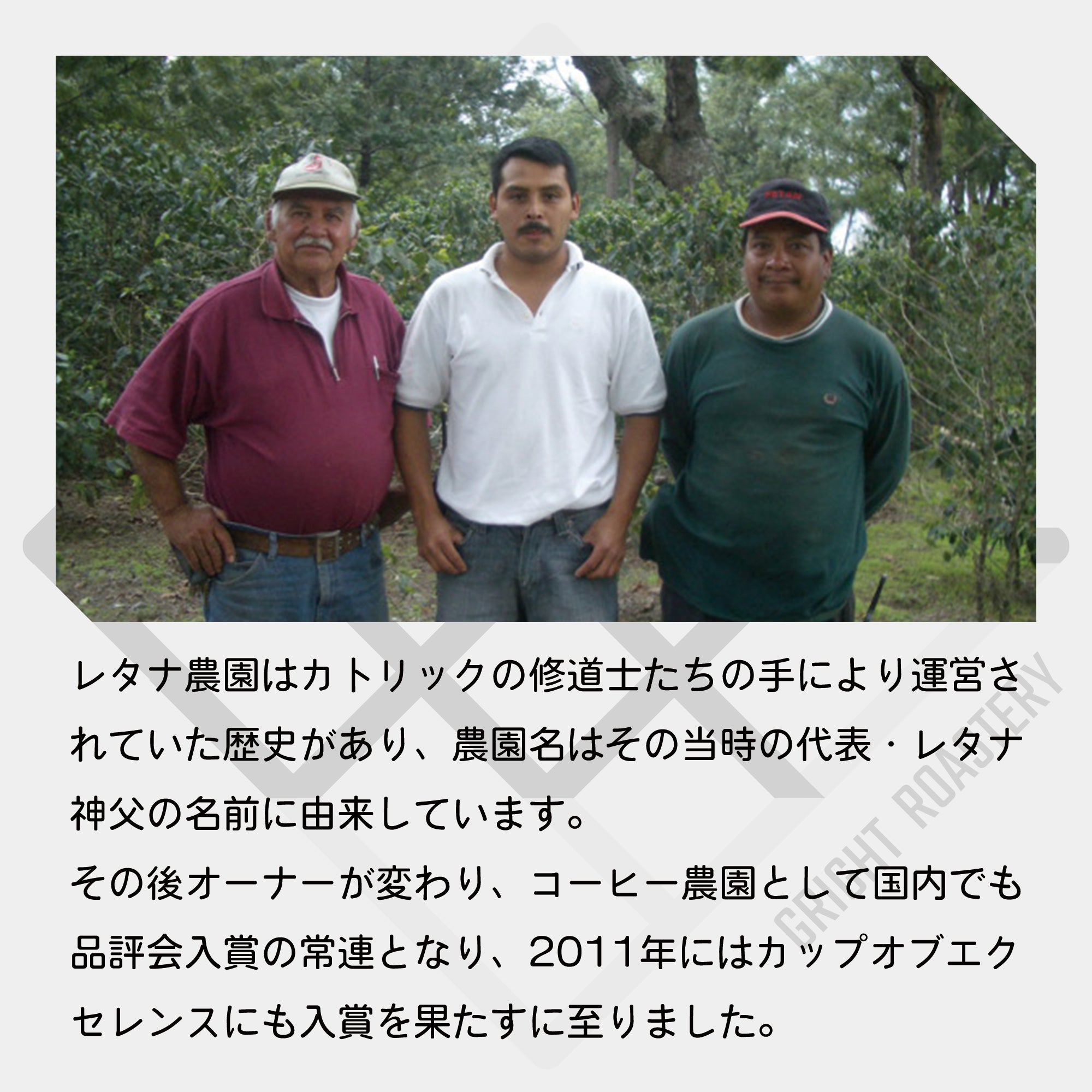 生豆 グアテマラ アンティグア レタナ農園 レッドブルボン フリーウォッシュド