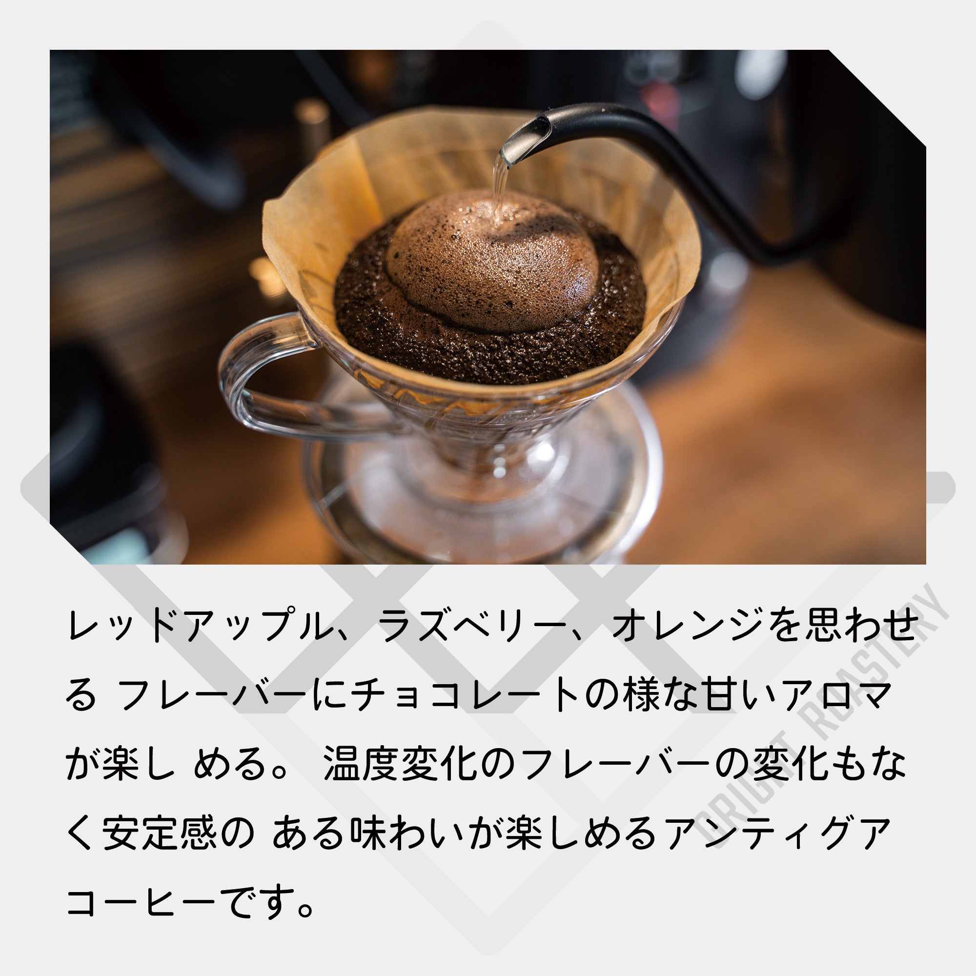 グアテマラ アンティグア レタナ農園 レッドブルボン フリーウォッシュド コーヒー豆