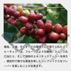 インドネシア アチェ アルールバダ マンデリン コーヒー豆