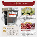 生豆 ケニア アダロニア AA ウォッシュド