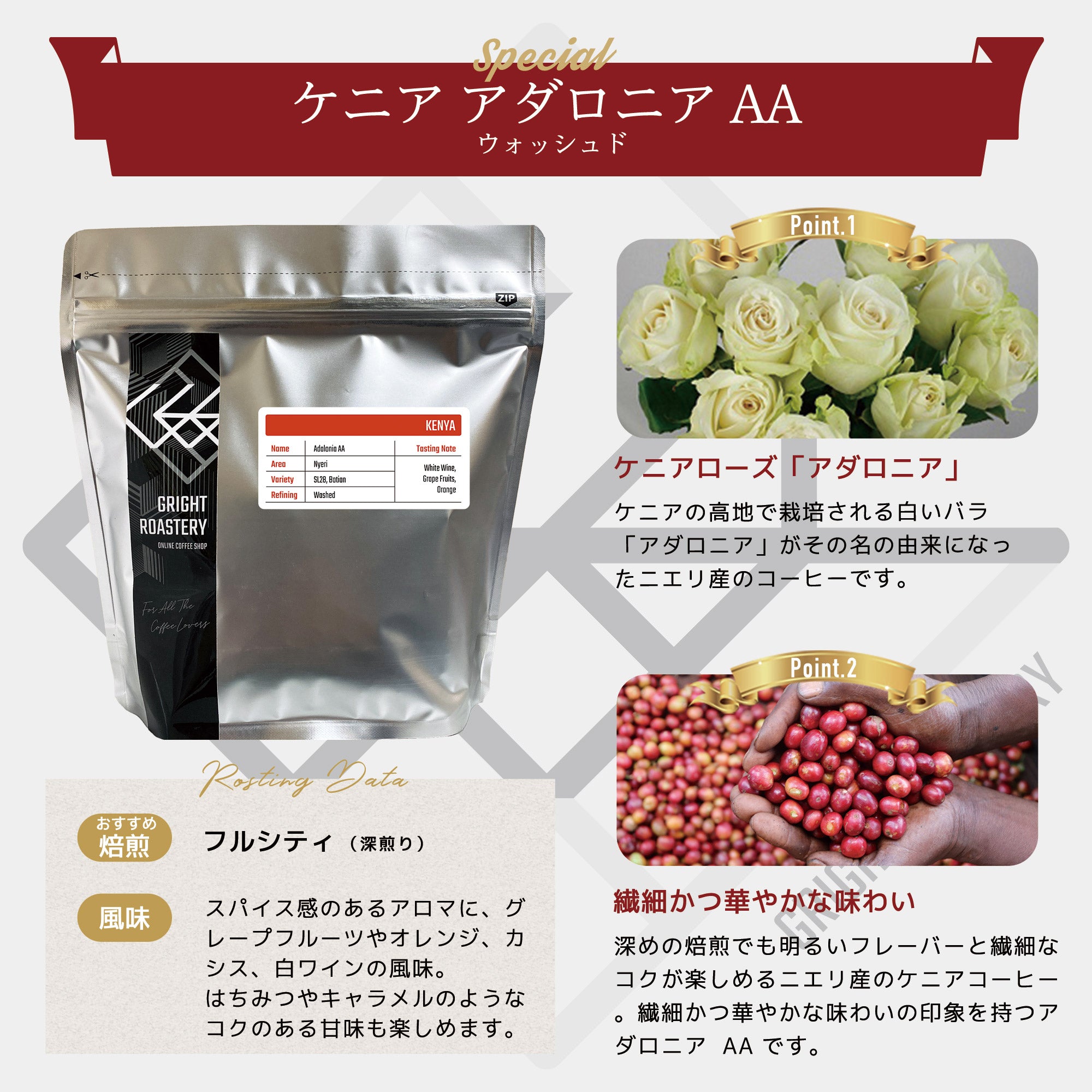 ケニア アダロニア AA ウォッシュド コーヒー豆