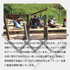 生豆 ケニア アダロニア AA ウォッシュド