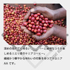 生豆 ケニア アダロニア AA ウォッシュド