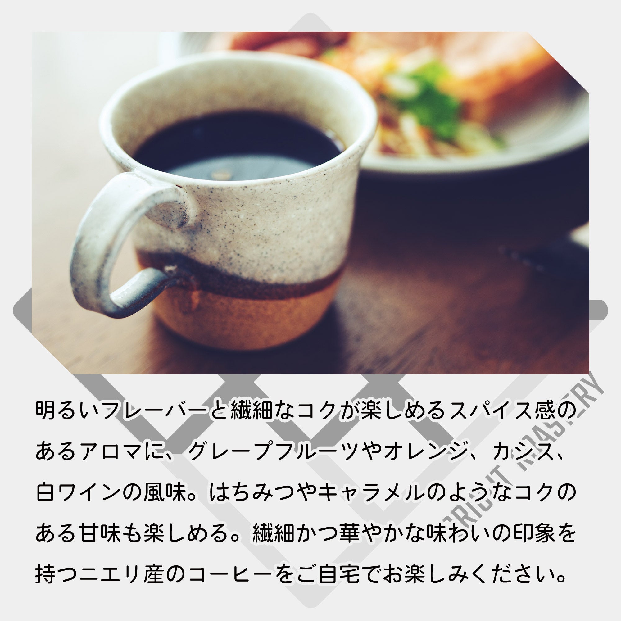 生豆 ケニア アダロニア AA ウォッシュド