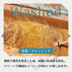 生豆 ケニア マサイ AA ウォッシュド