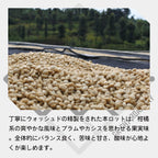 生豆 ルワンダ スカイヒル コプロカ WS ウォッシュド