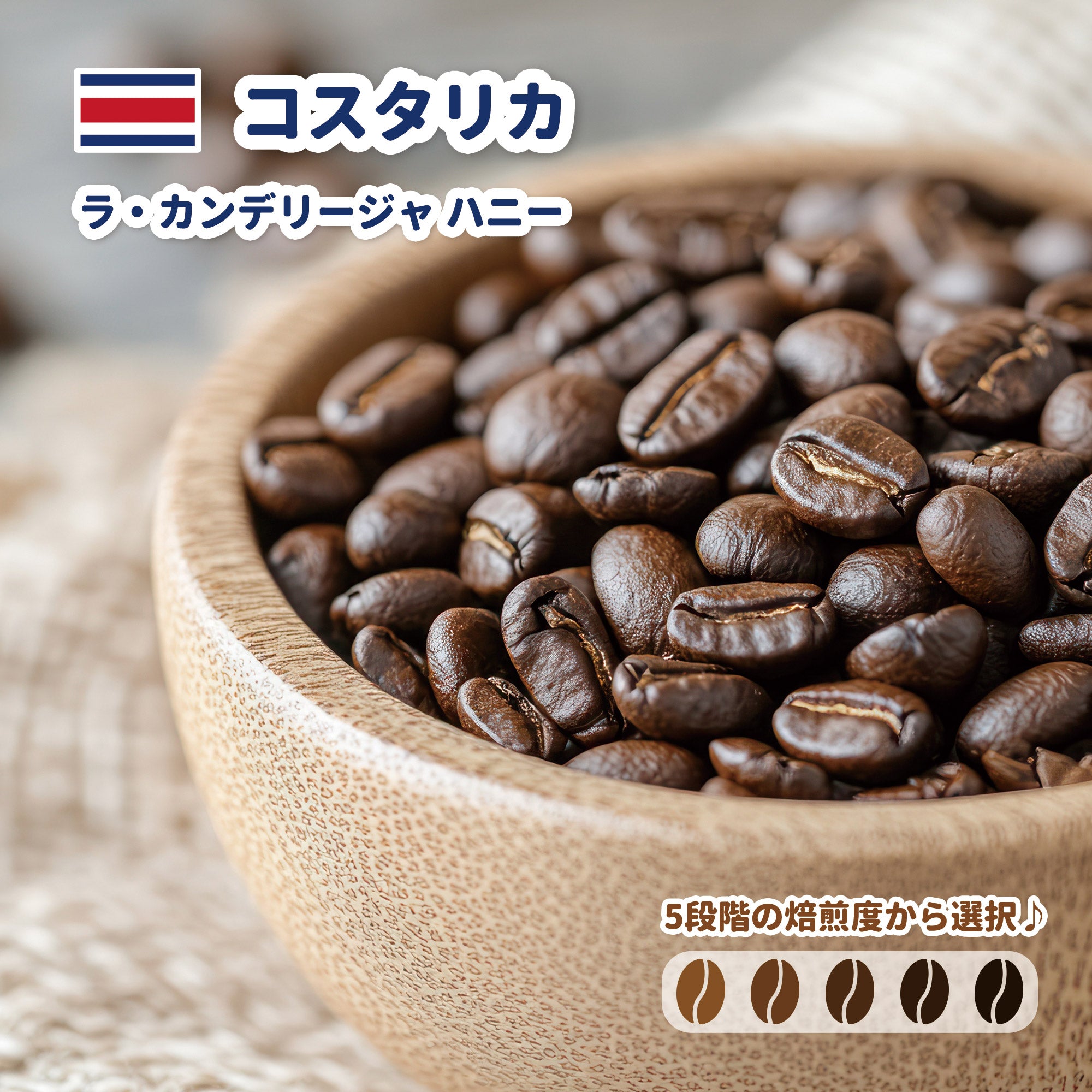 コスタリカ ラ・カンデリージャ ハニー コーヒー豆